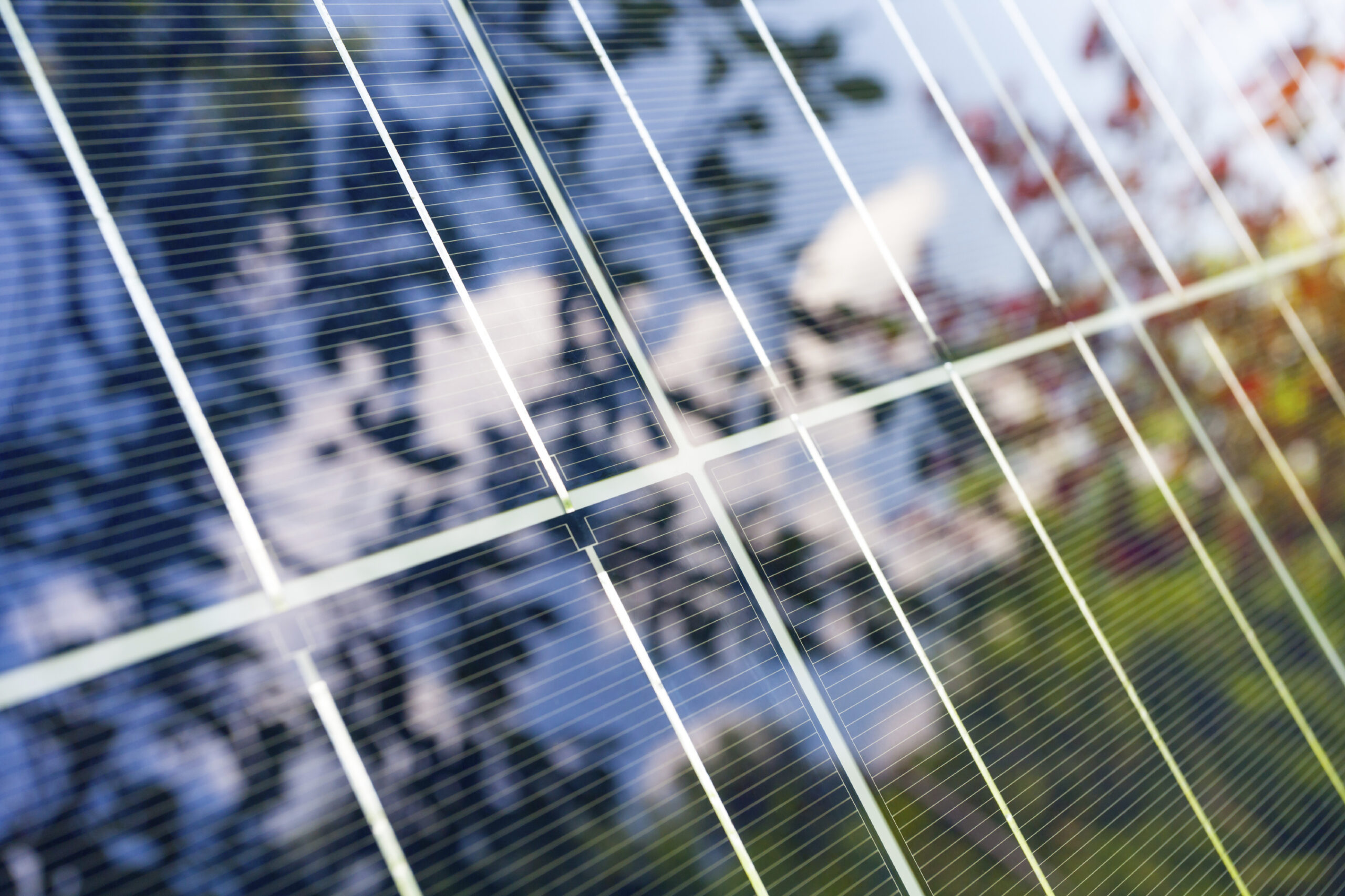 Climate Change Staffing