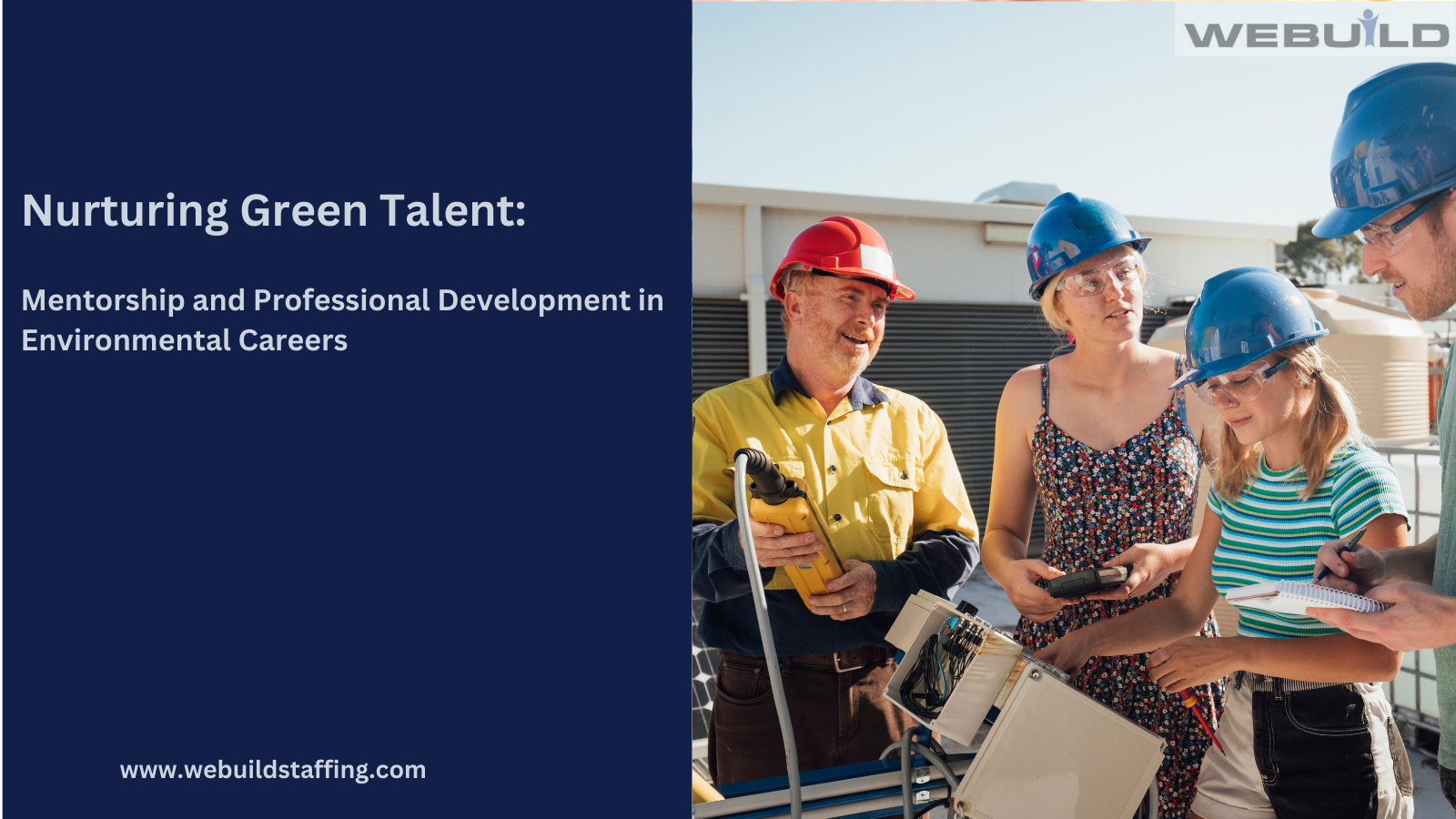 Nurturing Green Talent: Mentorship and Professional Development in Environmental Careers